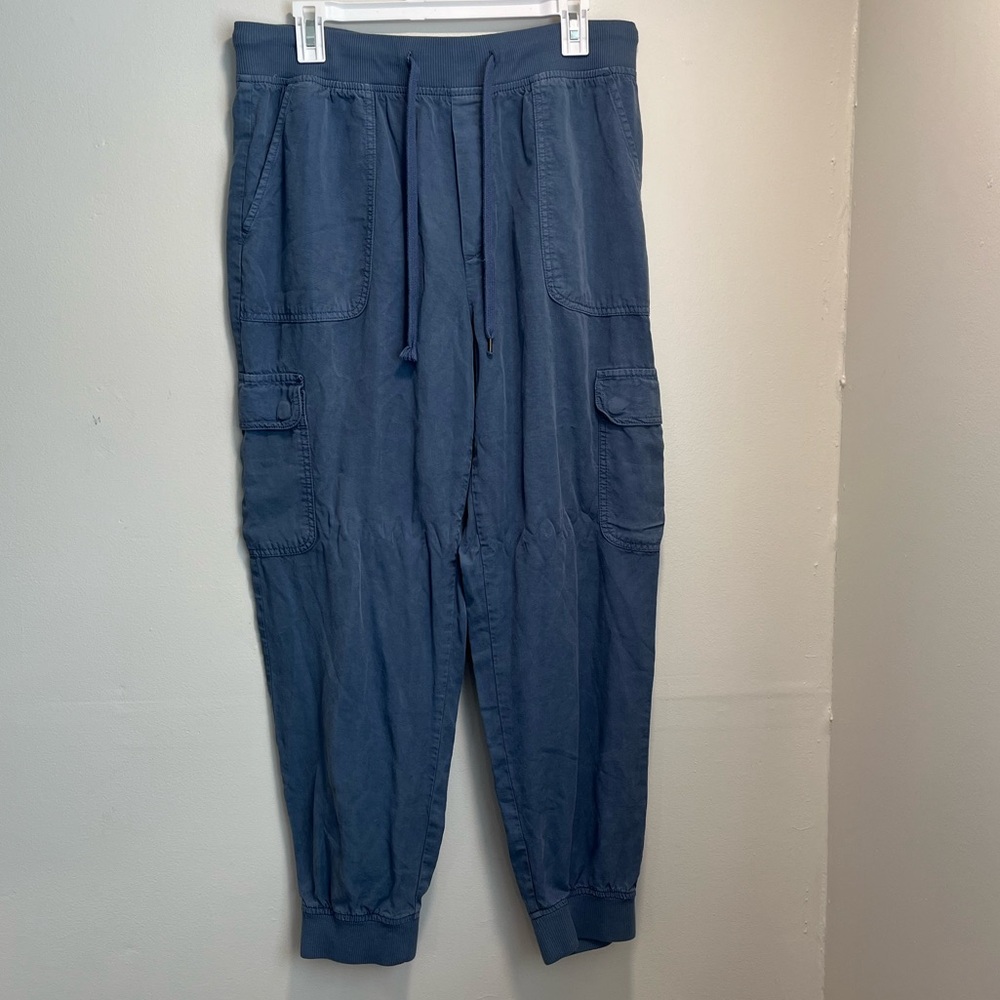 American Eagle Cargo Pants Size Large